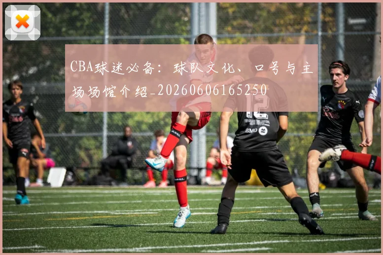 CBA球迷必备：球队文化、口号与主场场馆介绍_20260606165250